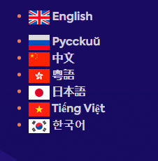 Multisite language switcher флаги