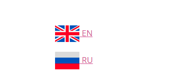 Multisite language switcher flags